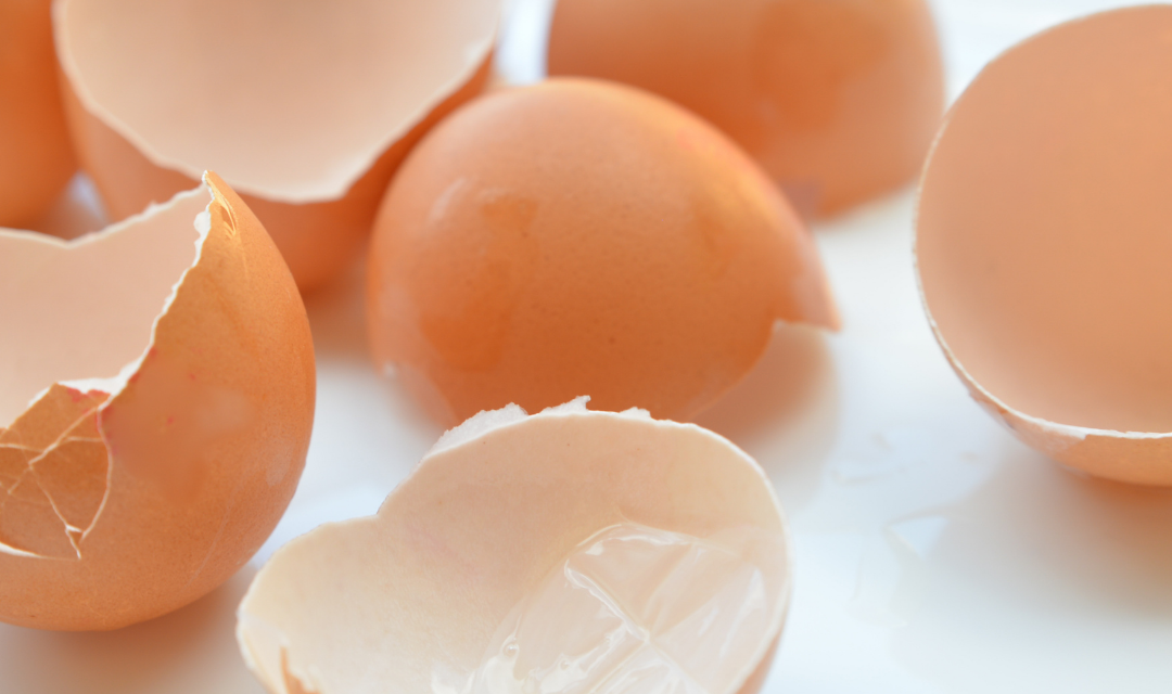 Ízületi gyulladásra, porckopásra, fájdalomra  – Pure Egg Membrane