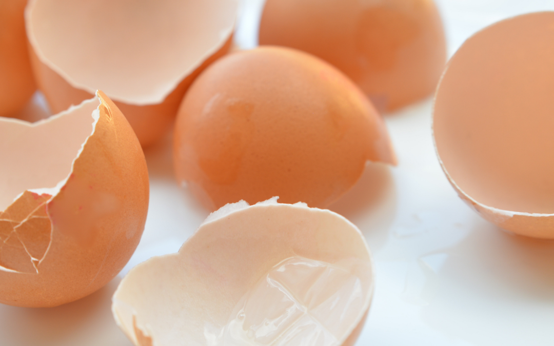 Ízületi gyulladásra, porckopásra, fájdalomra  – Pure Egg Membrane