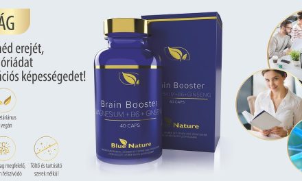 Brain Booster Magnesium + B6 + Ginseng -memória, energia, koncentráció